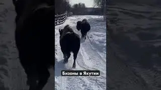11 марта 2024 г.
