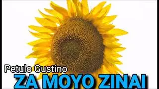 ZAMOYO ZINAYI - Petulo Gustino
