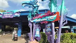 Dine with sharks at Sharks Underwater Grill