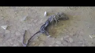 Deconstruction_by_wfk_littlefilms.rocks