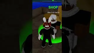 Blox Fruits has a CRAZY Secret...