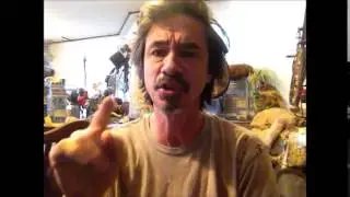Jerk Off adopts 2 puppy's from same litter........Peter Caine Dog training
