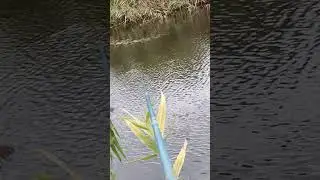 голые девушки,нижнем белье