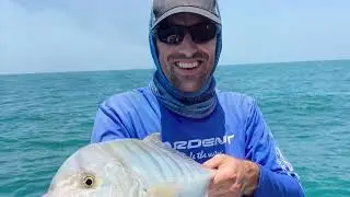 It’s getting really hot in Dubai (45-50C) but fishing is still very good 👌