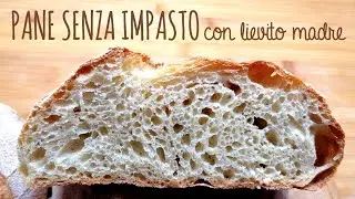 NO-KNEAD BREAD with sourdough starter