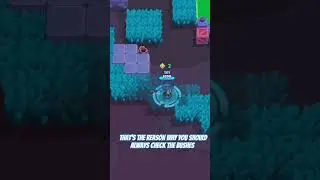 Always check the bushes. #brawlstars #games #shorts #check #funny #brawl
