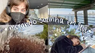 morando sozinha na coreia #4 // dia de descanso