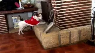 Monette attend le père Noël au pied de la cheminée!