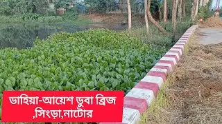 আয়েশ ডুবা ব্রিজ, সিংড়া, নাটোর। ডাহিয়া-আয়েশ ব্রিজ। #সিংড়া #নাটোর #ব্রিজ