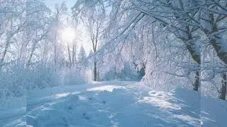 ОШО Перестань пытаться быть хорошим