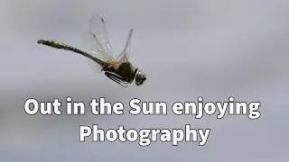 Out in the sun enjoying photography