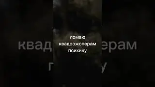 туда #квадробика #квадробер #квадрожопер #meme
