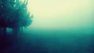 Узбекистонда калин Туман манзаралари