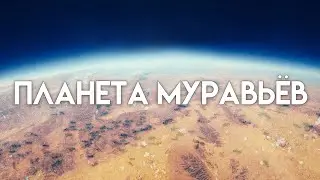 АНТИПОДЫ. Другая Земля — Муравьи