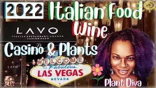 2022 Las Vegas Italian, Wine, Casino & Plants: Vlog ℒ𝞪𝑑𝝲 ℒ𝞪 Ꮐ𝞪𝙩𝞪₇ Plant Diva #lovenotes #love