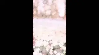Bahor
