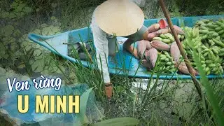Cuộc sống ven rừng U Minh | Vietnam's Suburbs Life - Amazing Food