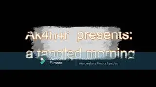 A tangled morning by Ak4n4r