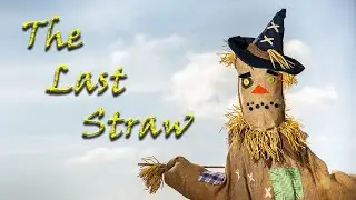The Last Straw / My Røde Reel 2021