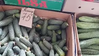 Slavyansk.13.05.24. REVIEW For You.‼️ Market on Lesnoy. Prices.