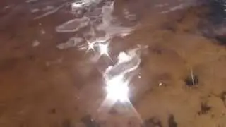 Блики