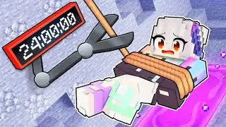 BAYANDOKTOR VS MİNECRAFT 