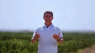 VƯỜN ƯƠM SIBERIAN WELLNESS LÀ DỰ ÁN HÀNG ĐẦU TRONG NGÀNH