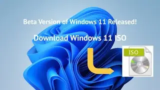 Windows 11 Beta Released! What is the process of Windows 11 Release and How to download Windows 11?