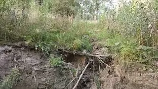 Пятая речка в сентябре