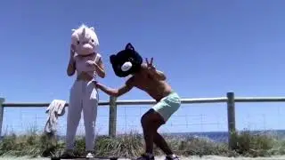 Skater Girl Unicorn Ft Pussy Ninja SuperheRoo