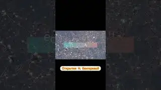 Наука от Егора