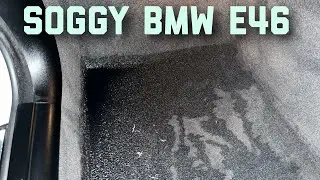 Wet BMW Carpet
