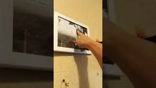 Домой пошла