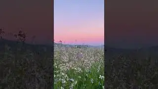 Nature Art...   #Vlog