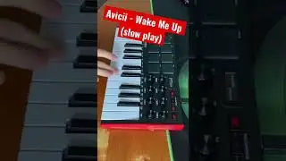Avicii - Wake Me Up, but on mini keyboard 🎹 slow play 