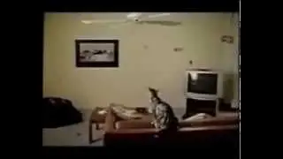 Niño VS gato