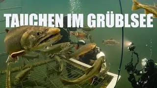 Tauchen im Grüblsee 2020