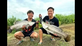 PRIVATE POND FISHING FOR BARRAMUNDI IN THAILAND (GUARANTEED FISH!!)