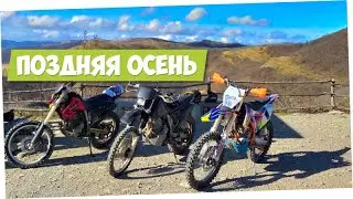 20191104 Поздняя осень