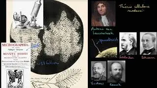 The Cell Theory