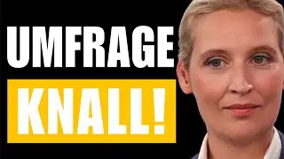 Politik Beben: AfD-Mandate explodieren und Grüne schmieren ab