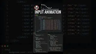 Html CSS Input Animation  