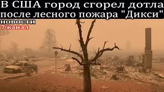 В США город сгорел дотла после лесного пожара 