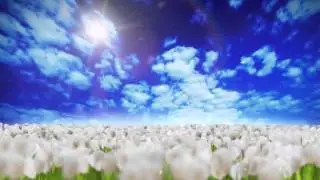 VIDEO BACKGROUND FULL HD 169