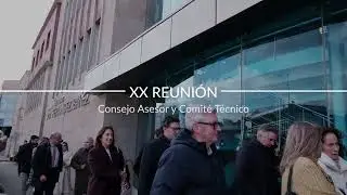 XX Reunión Consejo Asesor y Comité Técnico