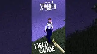 Candle Field Guide - Where to find them and how to use them - Project Zomboid Field Guide