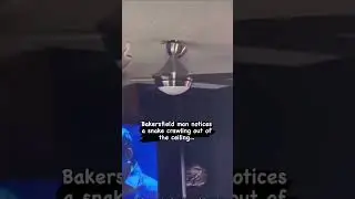 WHAT DID YOU SAY came out of the ceiling?! 💀