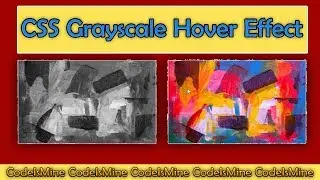 CSS Grayscale Hover Effect | CodeIsMine