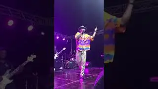@samini_dagaati fires fans