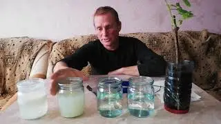 Вода для растений : вред и польза